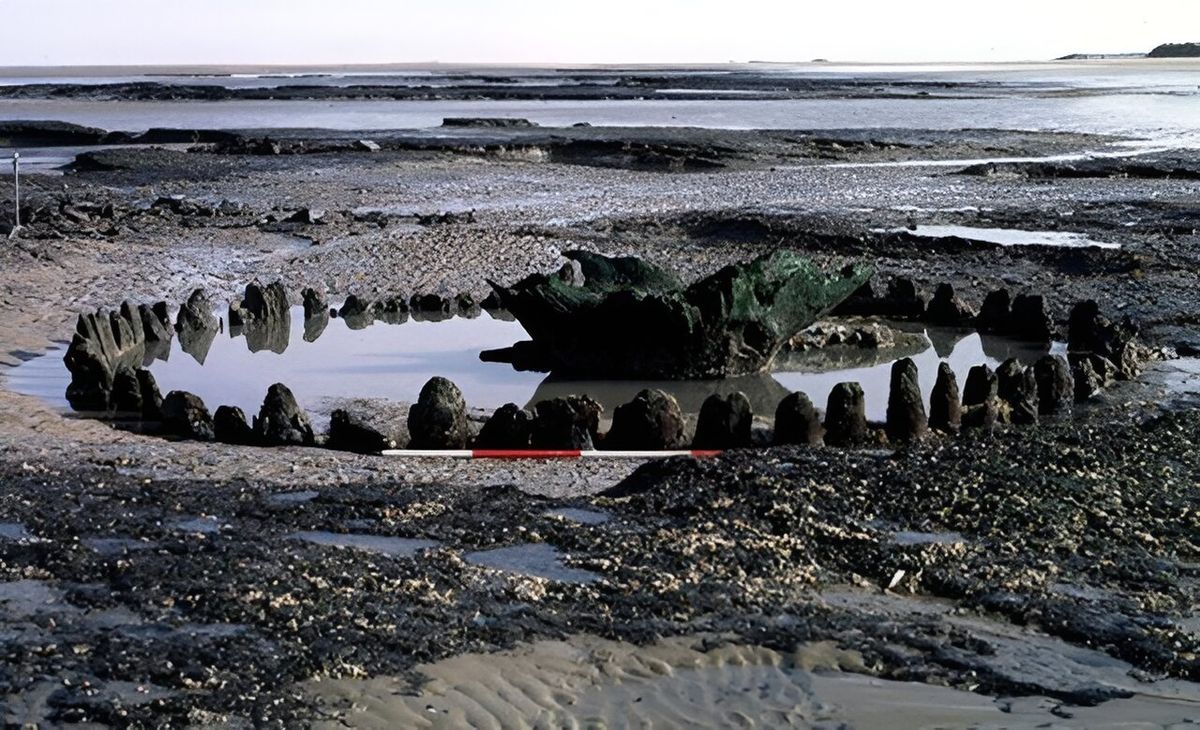 Forget Stonehenge, Why Was "Seahenge" Built Over 4,000 Years Ago?