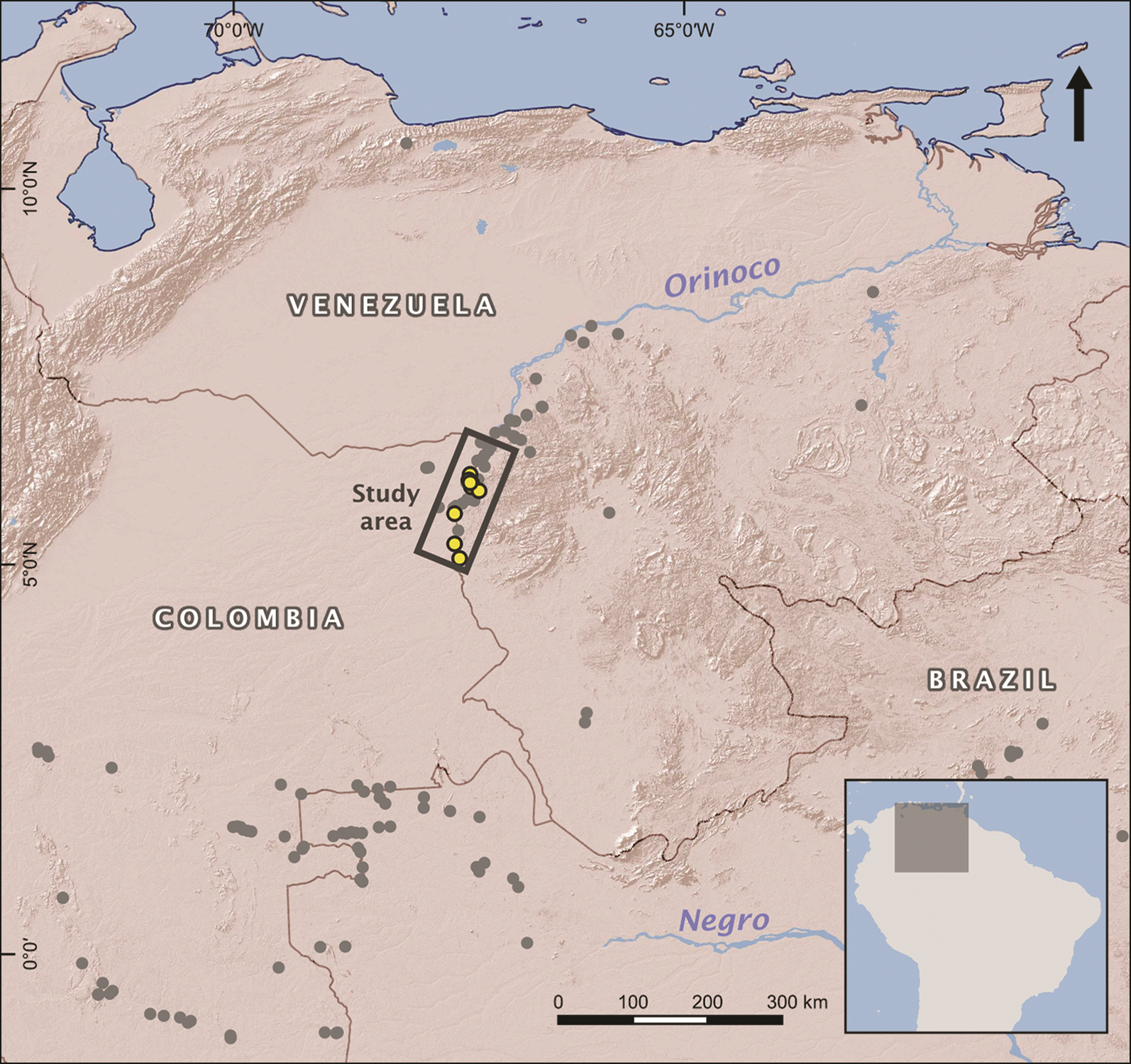 A map showing the location of the rock art along South America’s Orinoco River