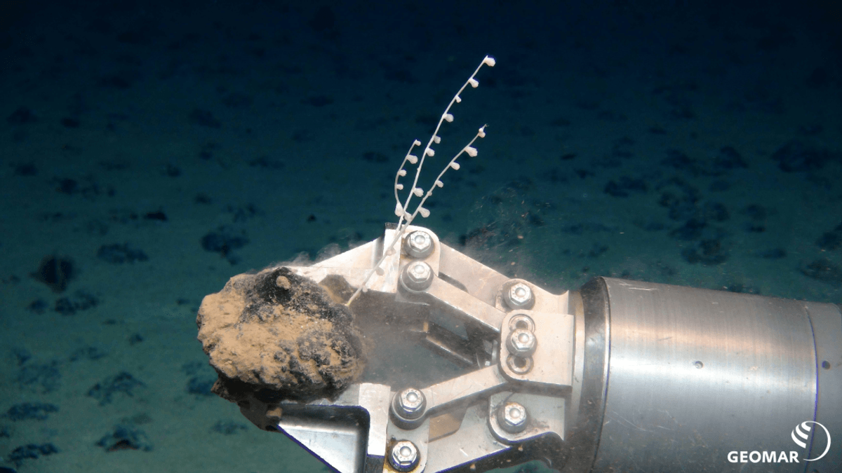 The Planet’s Largest Source Of Battery Metals Sits 4,000 Meters Beneath The Sea