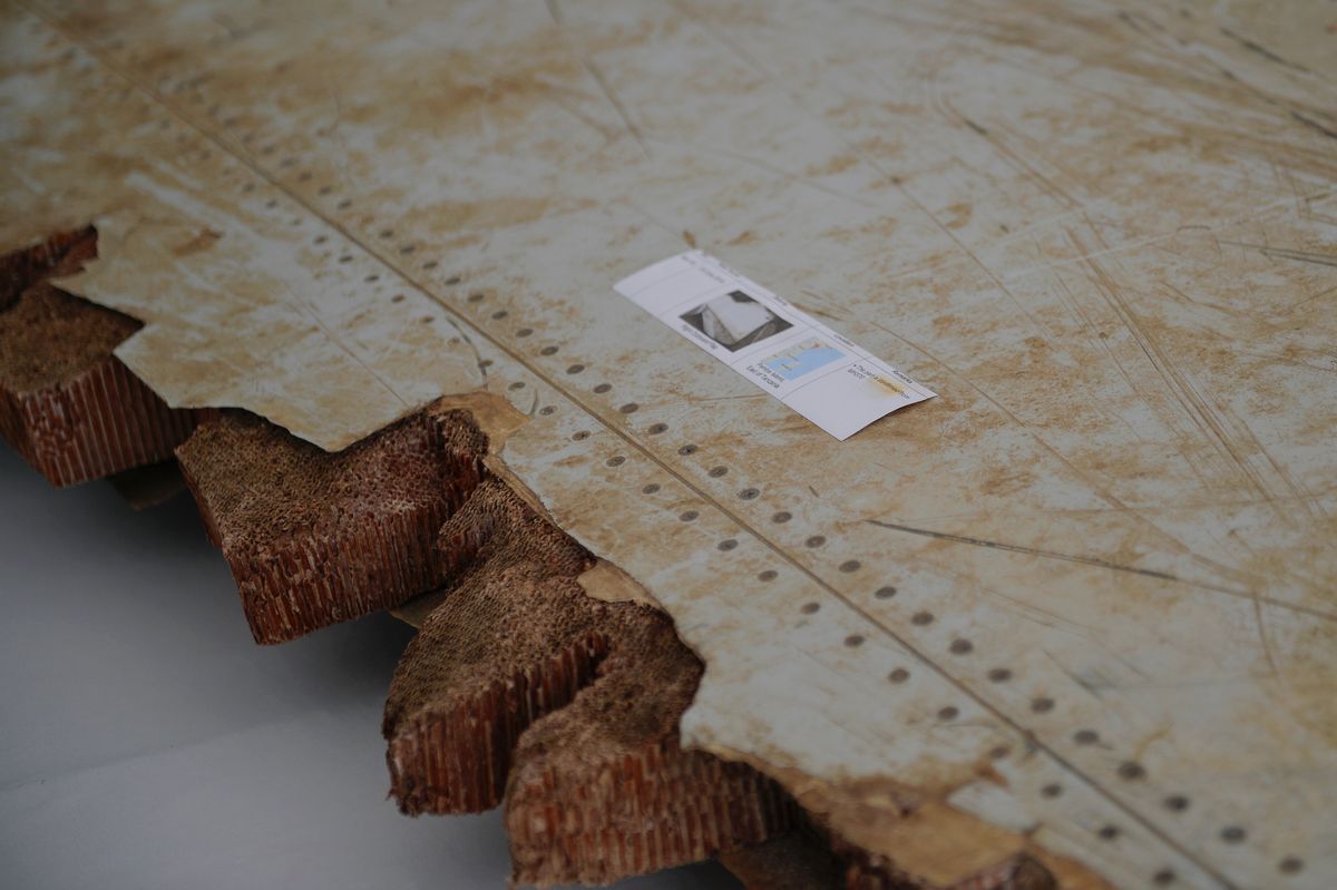 Flight MH370: Can Underwater Sound Signals Solve Aviation’s Greatest Mystery?