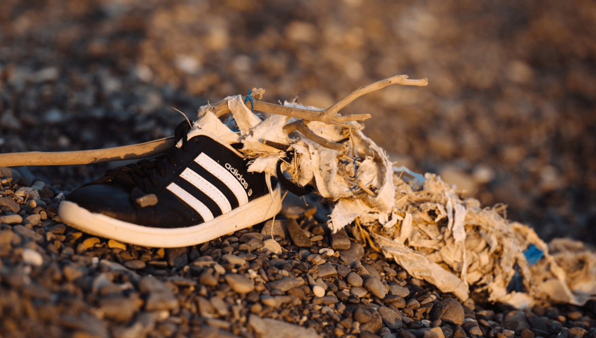 sneakers human
