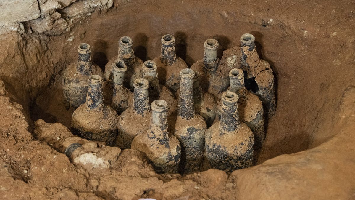 “Perfectly Preserved” 250-Year-Old Fruit Unearthed In George Washington’s Cellar