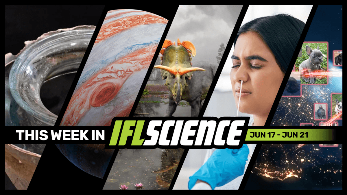 World’s Oldest Liquid Wine Contains Human Remains, NASA Uses New Laser System To Send Astronauts Videos Of Pets, And Much More This Week