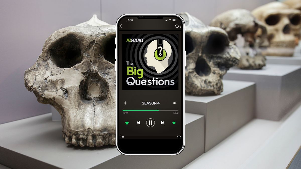 IFLScience The Big Questions: Why Are We The Only Surviving Human Species?