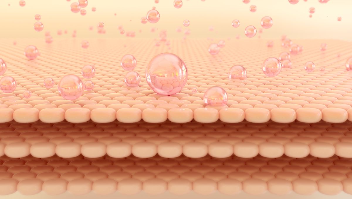 Can Lsd Be Absorbed Through Skin Common “Forever Chemicals” Can Be Absorbed Through Human Skin | IFLScience
