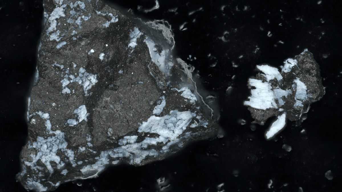 “Tantalizingly Beautiful” Rocks Yield More Evidence That Asteroid Bennu Came From A Wet World