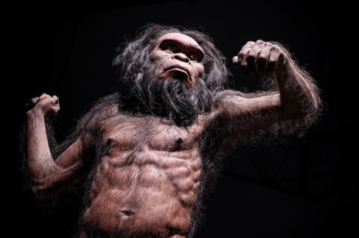What Was The First Human Species, And What Makes It Human?
