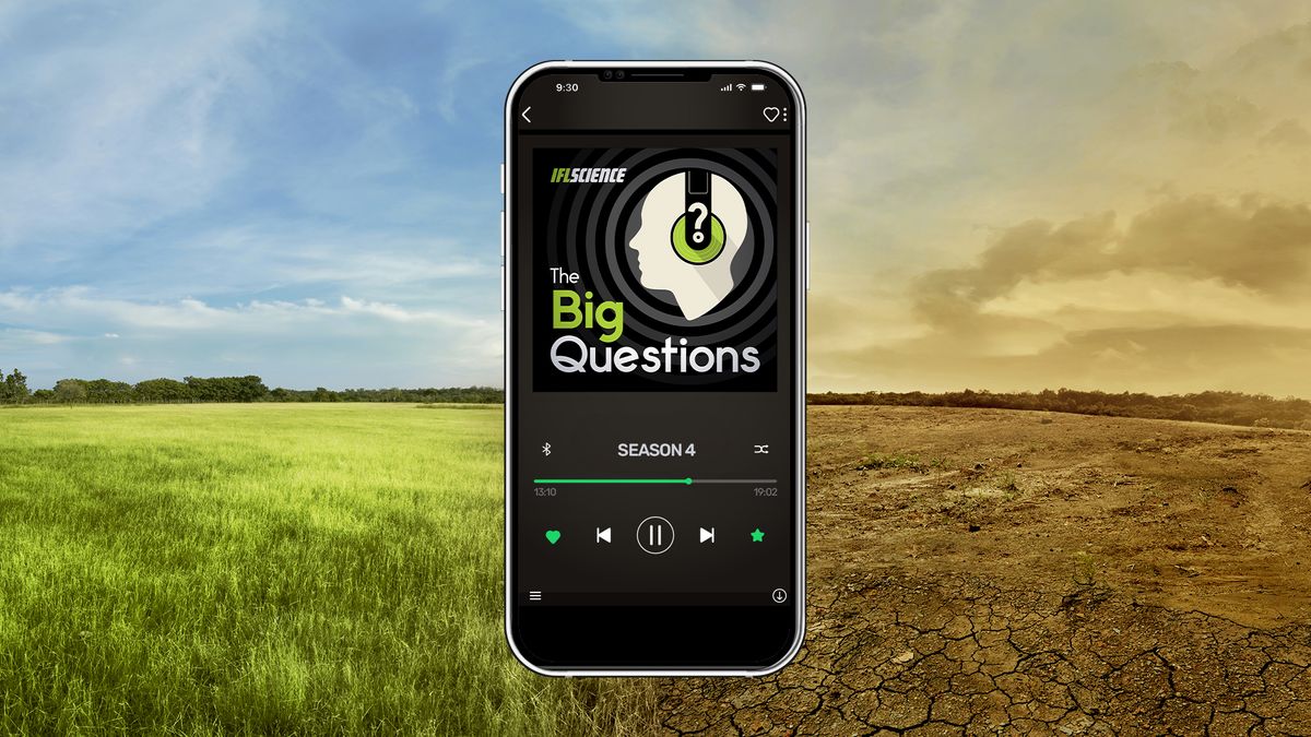 IFLScience The Big Questions: How Is Climate Change Impacting Our Health?