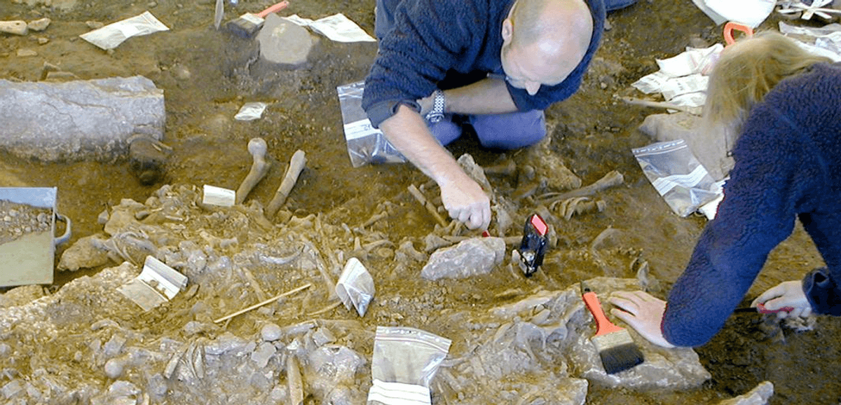 5,000 Years Ago, Plague Probably Brought Down Europe’s First Farmers