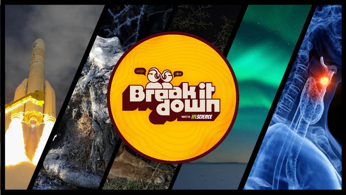 Mammoth Jerky, Endangered Language, And Rocket Science In The Jungle