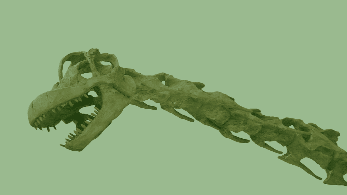 Gnatalie, The World’s Only Green-Boned Dinosaur, To Go On Display In LA