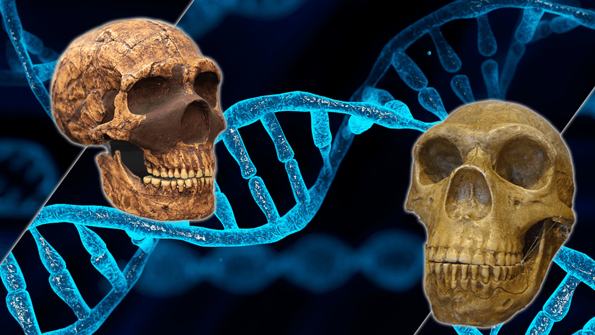 This Is What Neanderthal And Denisovan Faces Looked Like