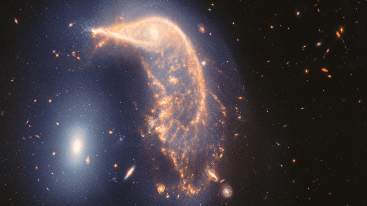 JWST Celebrates 2 Years Of Fantastic Science With New Merging Penguin Galaxy Portrait