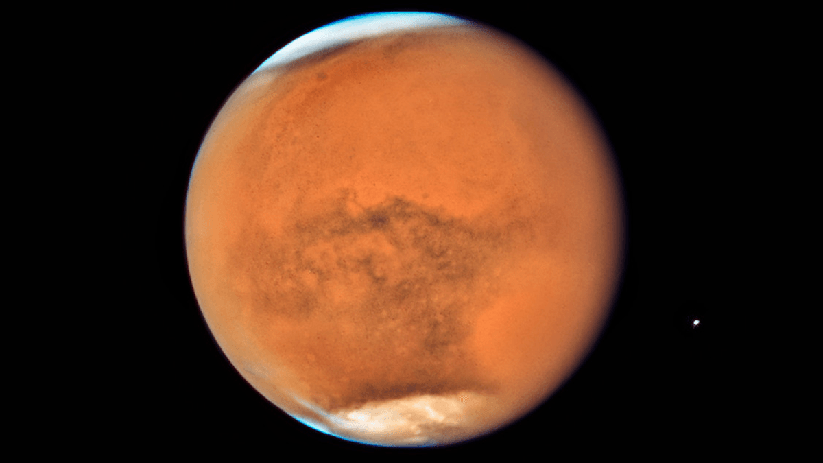 NASA Wants To Send A Swarm Of "Marsbees" To The Red Planet