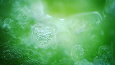 Abstract illustration of emergence of life.
