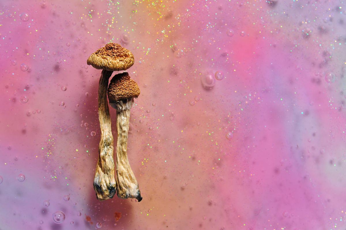Magic Mushrooms Desynchronize Your Brain For Up To Three Weeks