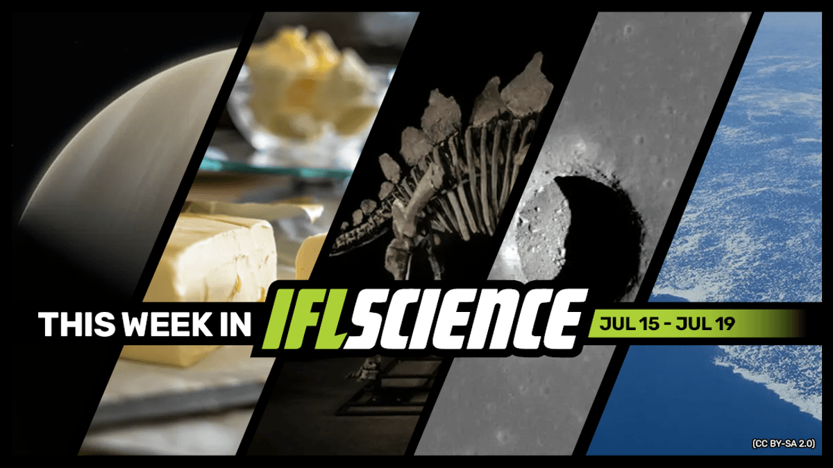 Phosphine And Possibly Ammonia Detected Deeper In Venus's Atmosphere, Stegosaurus Fossil Fetches $44.6 Million At Auction, And Much More This Week