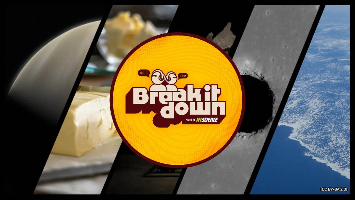 $44 Million Stegosaurus, Air Butter, And Life On Venus?