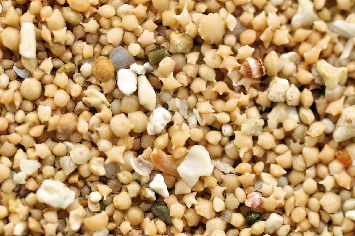 Rare Star-Shaped Sand Can Be Found On These Japanese Beaches