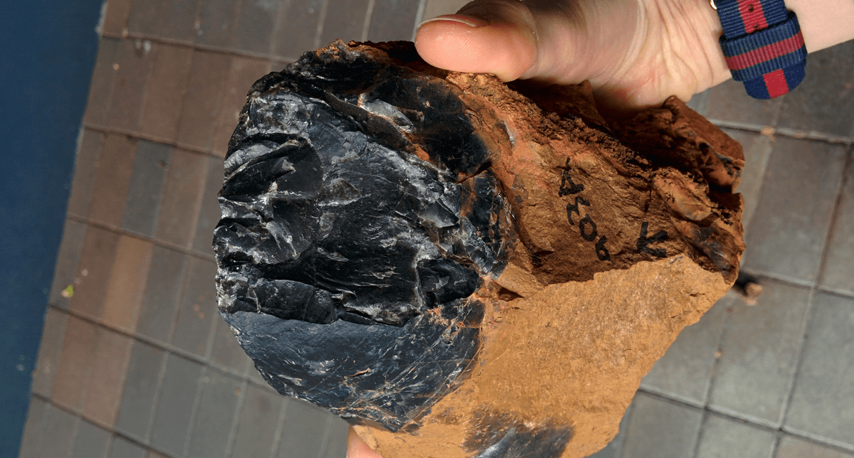 A Geobiologist Found Possibly The Oldest Complex Fossil – In Her Pet Rock