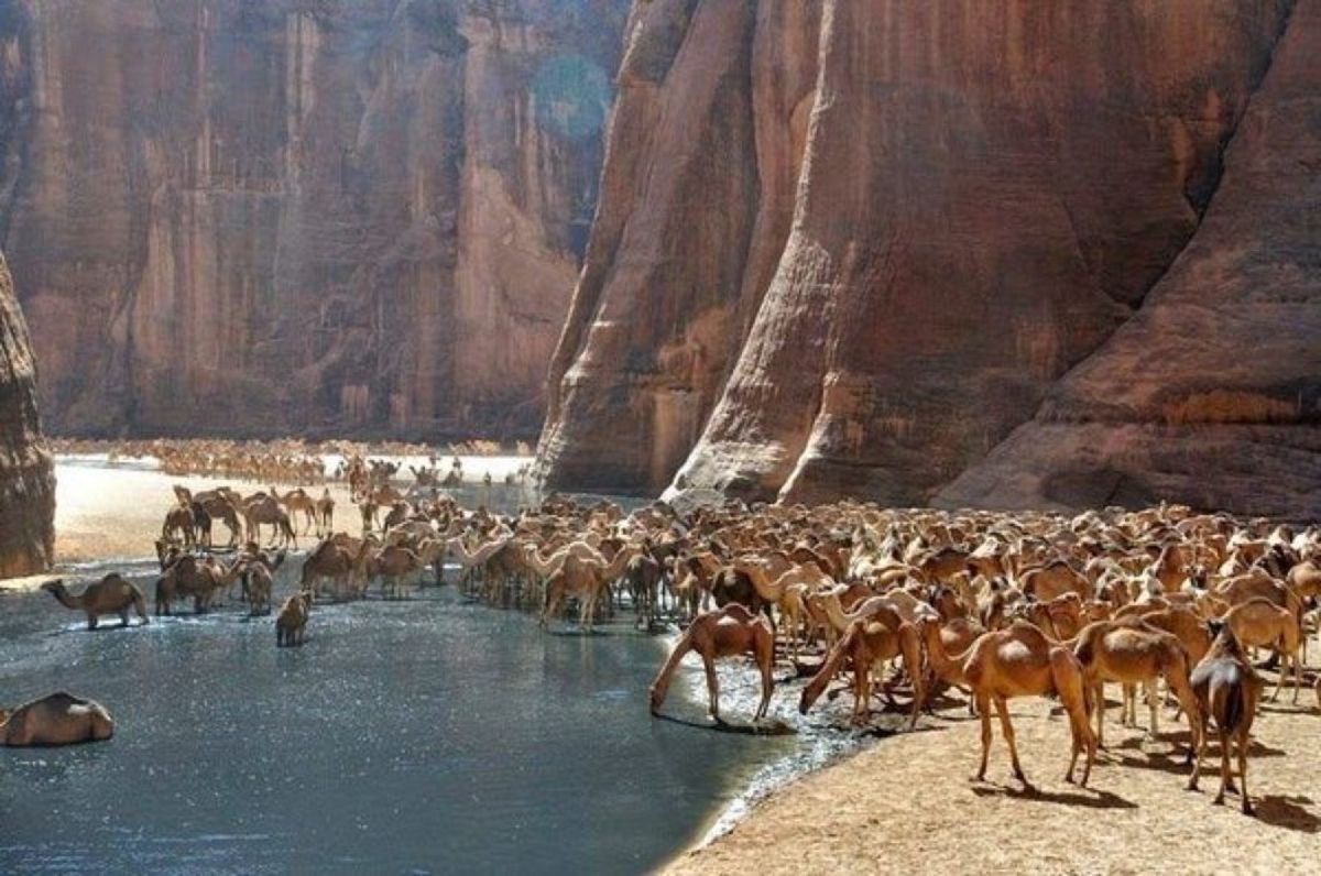 Guelta d'Archei: A Surreal Oasis In The Heart Of The Sahara Desert