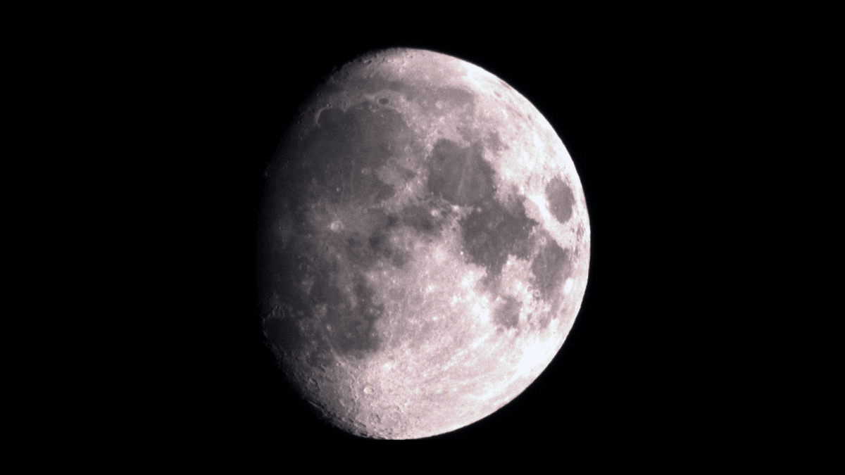 Vault On The Moon To Preserve Earth’s Biodiversity Proposed By Scientists