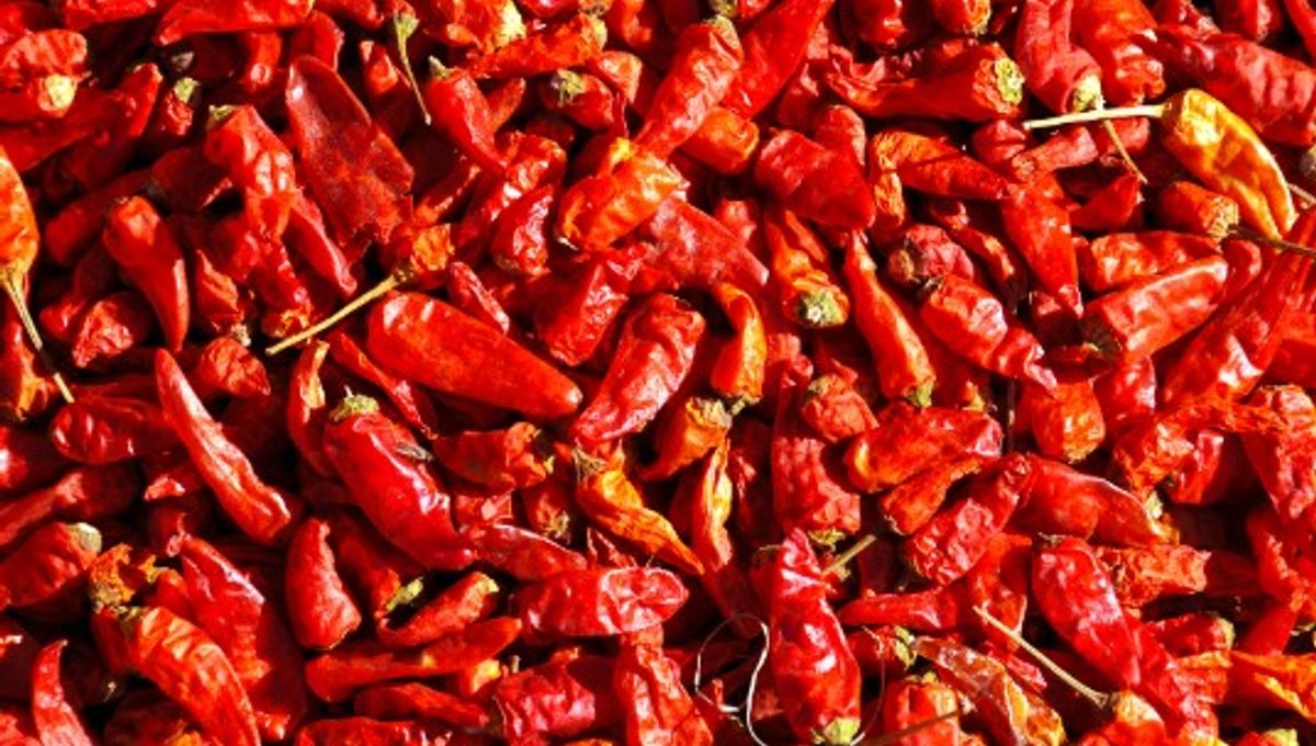What’s The Hottest Chili Pepper In The World? IFLScience