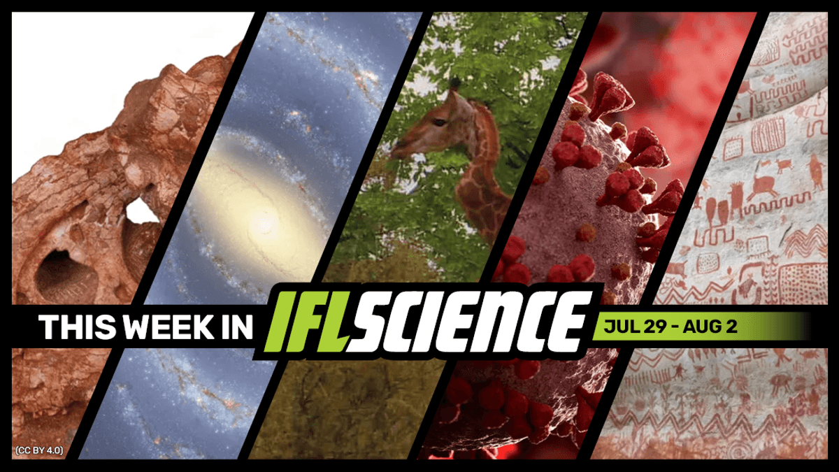 Awesome Fossils Of New 69-Million-Year-Old Tyrannosaur Species, COVID-19 Vaccine Nasal Drops Could Stop Viral Transmission, And Much More This Week