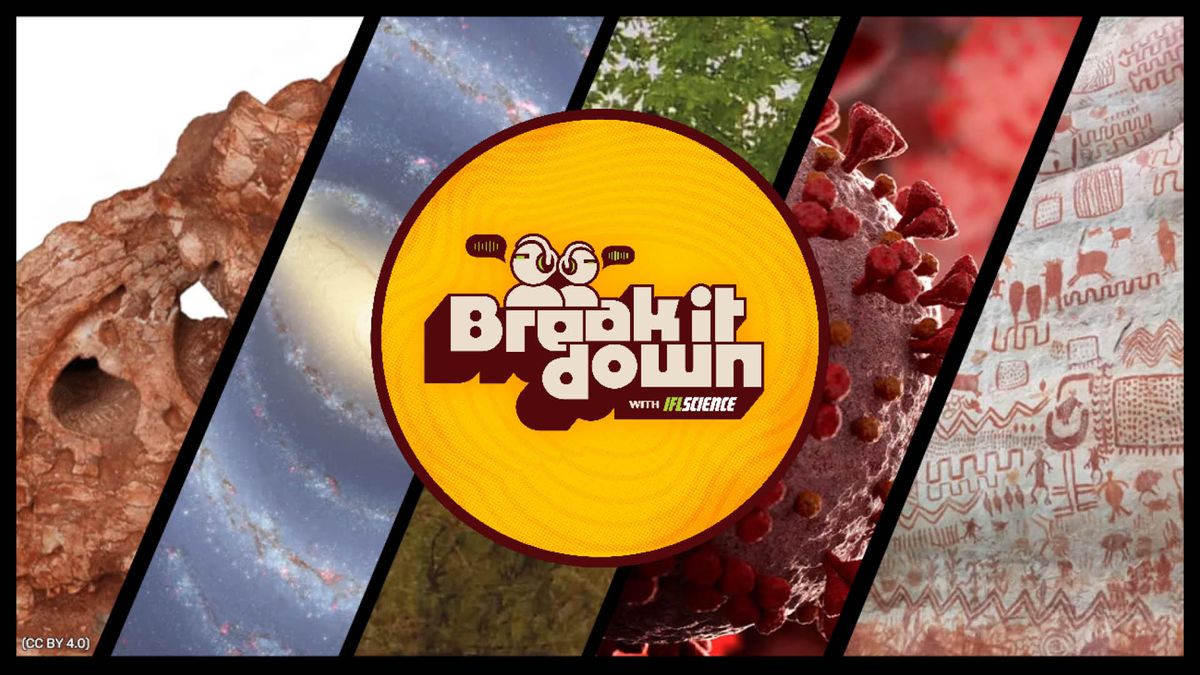 Wonky Giraffe, Hamster Vaccines, And Wildlife Rock Art