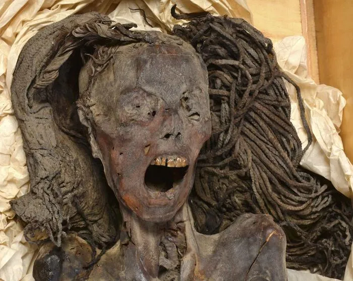 We Finally Know Why This Nightmarish Mummy Has Been Screaming For 3,500  Years | IFLScience