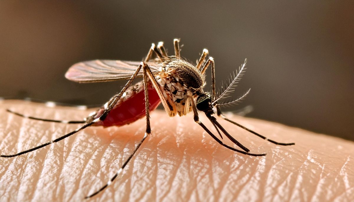 World-First Mosquito Drone Deliveries Could Help Stop The Spread Of Diseases Like Dengue