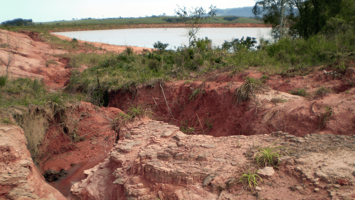 Heavy Rain Just Gifted Science One Of The Oldest Dinosaurs Ever Found