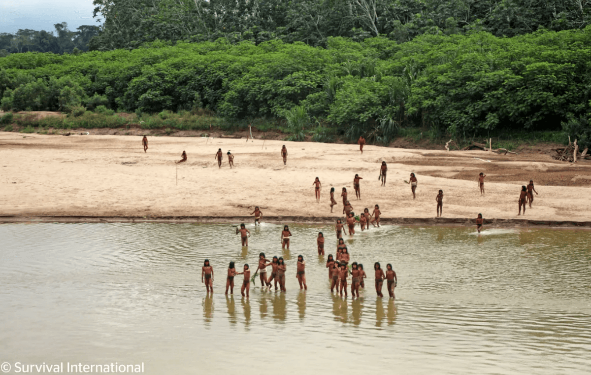 Uncontacted Tribe Attack Intruding Loggers With Arrows In The Peruvian Amazon