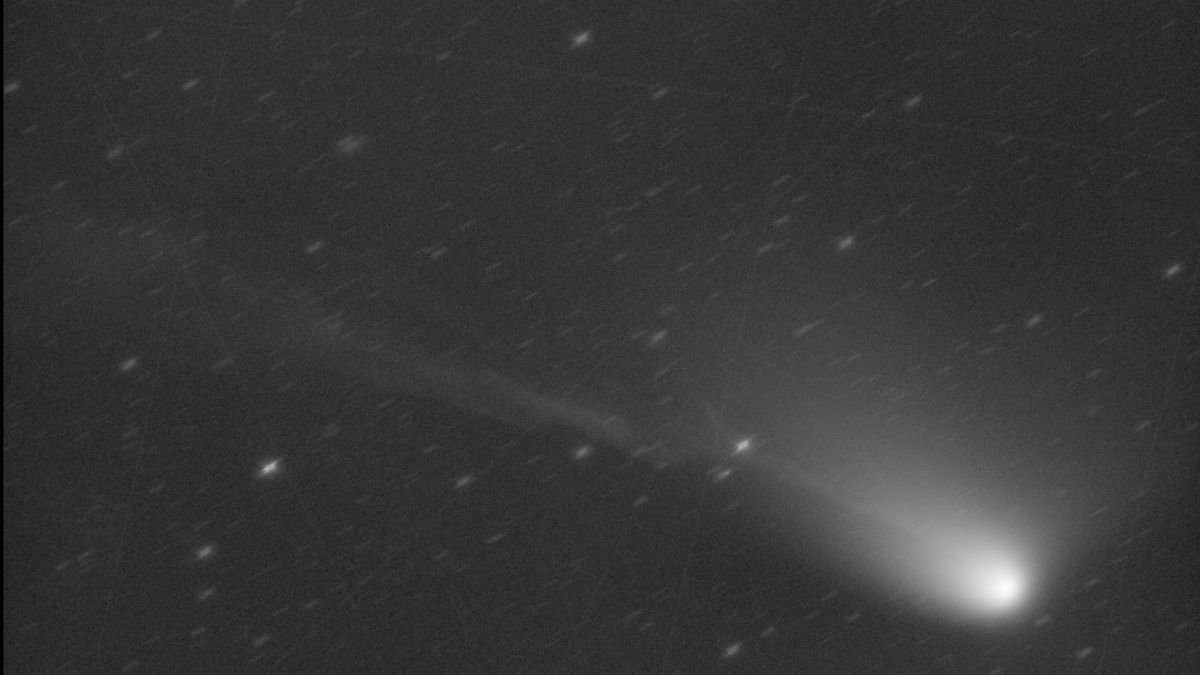 Stunning New Image Of Comet Olbers Shows Its Tail In All Its Wonky Glory