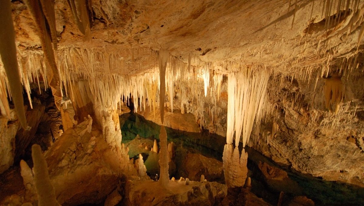 Stalaktiten und Stalagmiten Was ist der Unterschied?