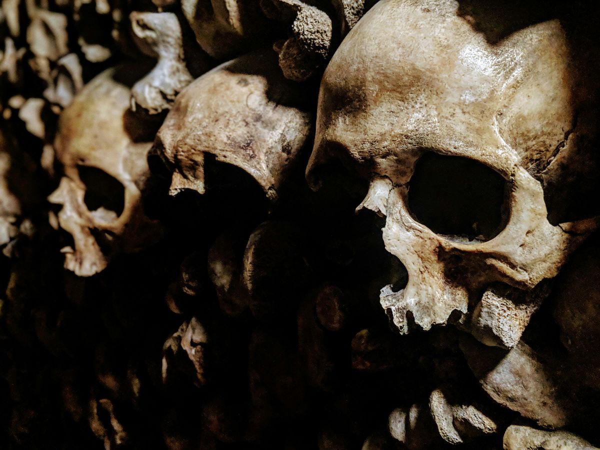 What's The Oldest Human Burial In The World?