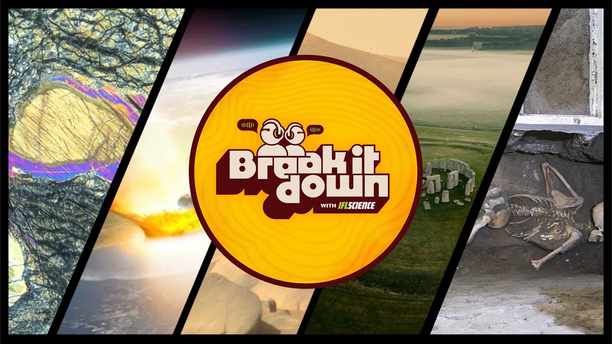 Earth Sausage, Pompeii Panic, And The Disco Planet