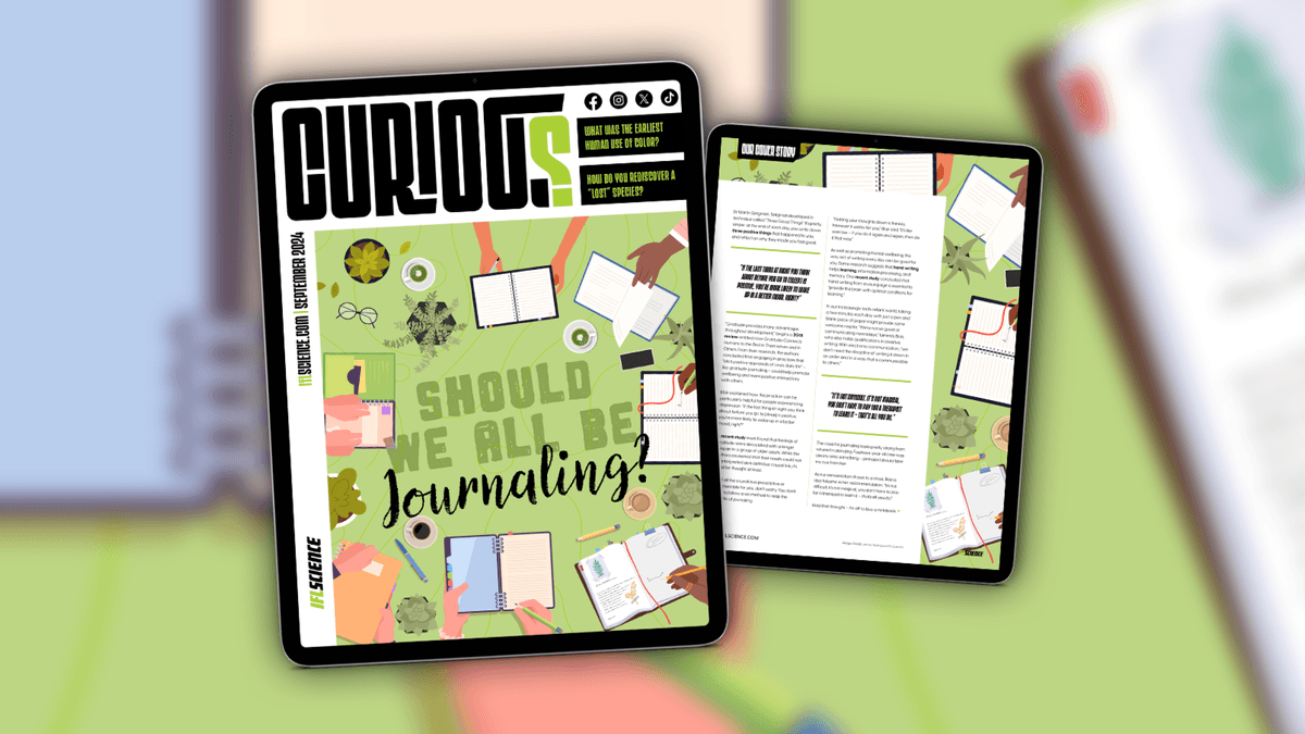 Should We All Be Journaling? Find Out More In Issue 26 Of CURIOUS – Out Now