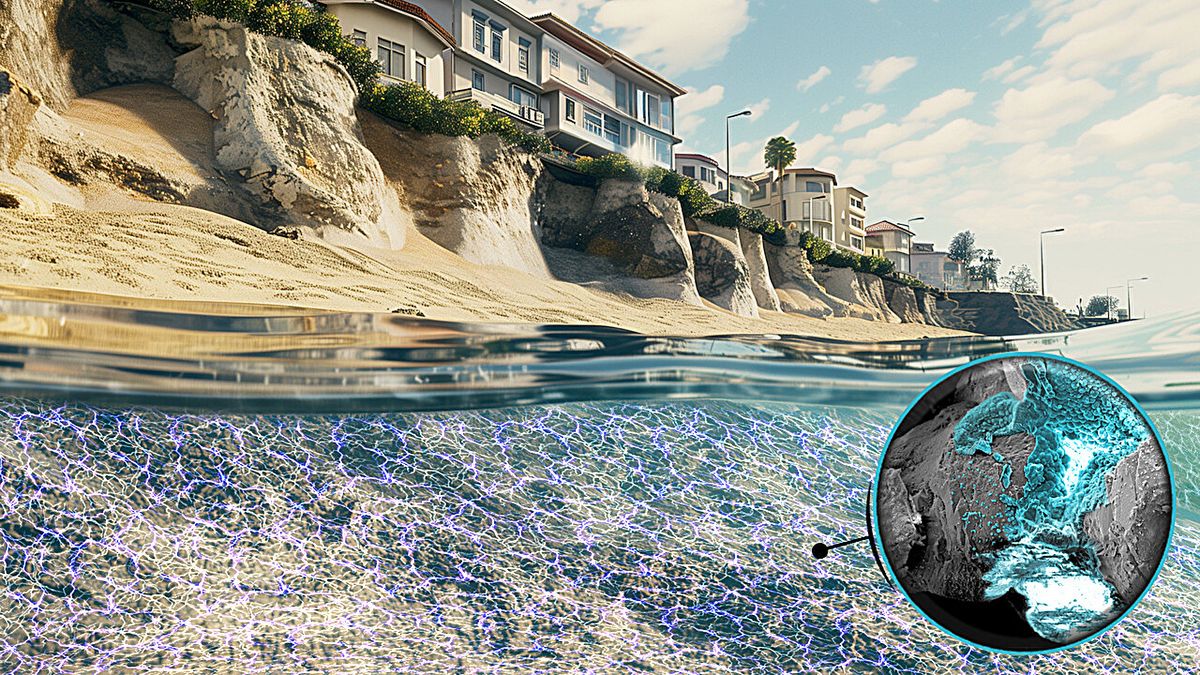 Zap Of Electricity Could Save Coastlines From Climate Change Driven Erosion