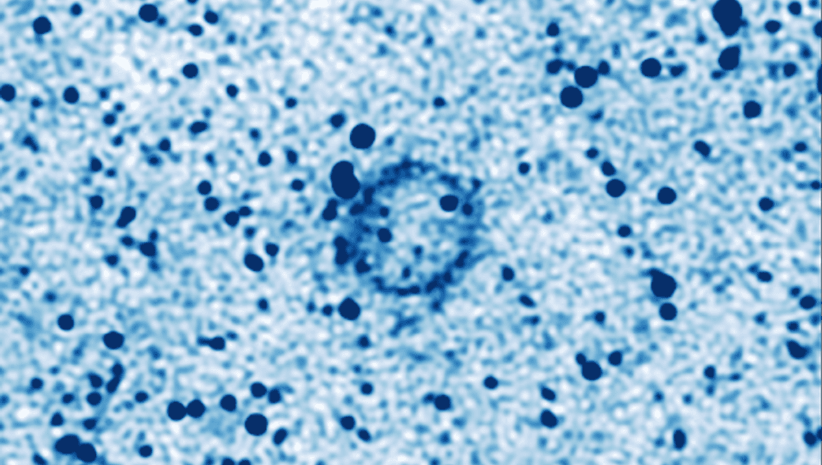 A Strange Radio Ring Could Be From A New Class Of Astronomical Object ...