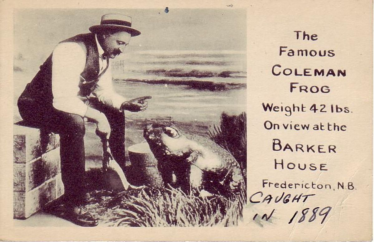 The "Coleman Frog" Was A Massive, Whiskey-Swilling, Baked-Beans-Eating, Canadian Bullfrog