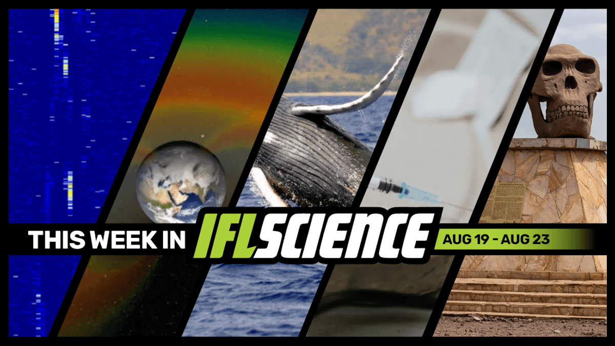 Iconic Wow! Signal May Finally Have An Explanation, Humpback Whales Revealed To Be Tool Users, And Much More This Week