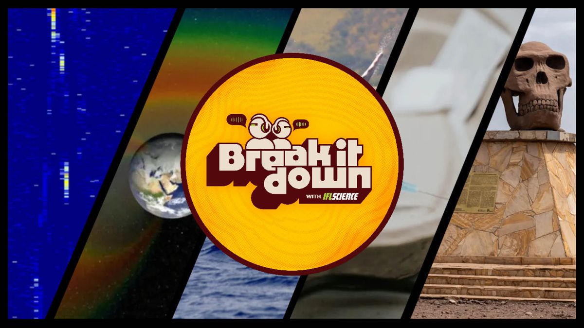 Tool-Wielding Whales, Earth’s New Ring, And Wow! Signal Solved?