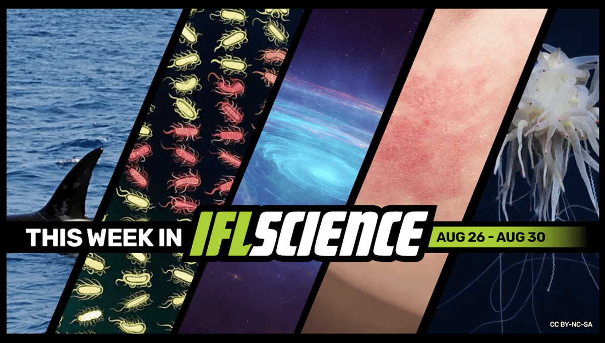 Seti Starts Looking For Highly Advanced Extragalactic Civilizations In 2 880 Galaxies