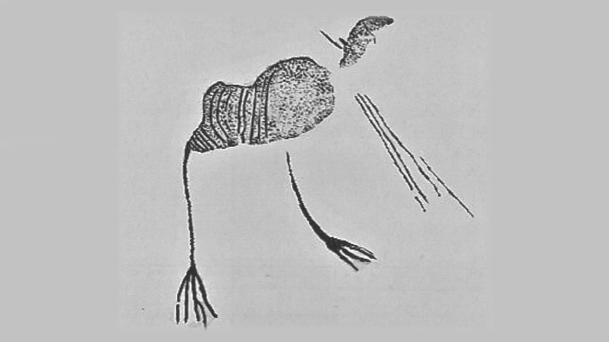 Ancient Rock Painting Reveals Oldest Image Of African Rail Bird, Possibly Sacred To The San People