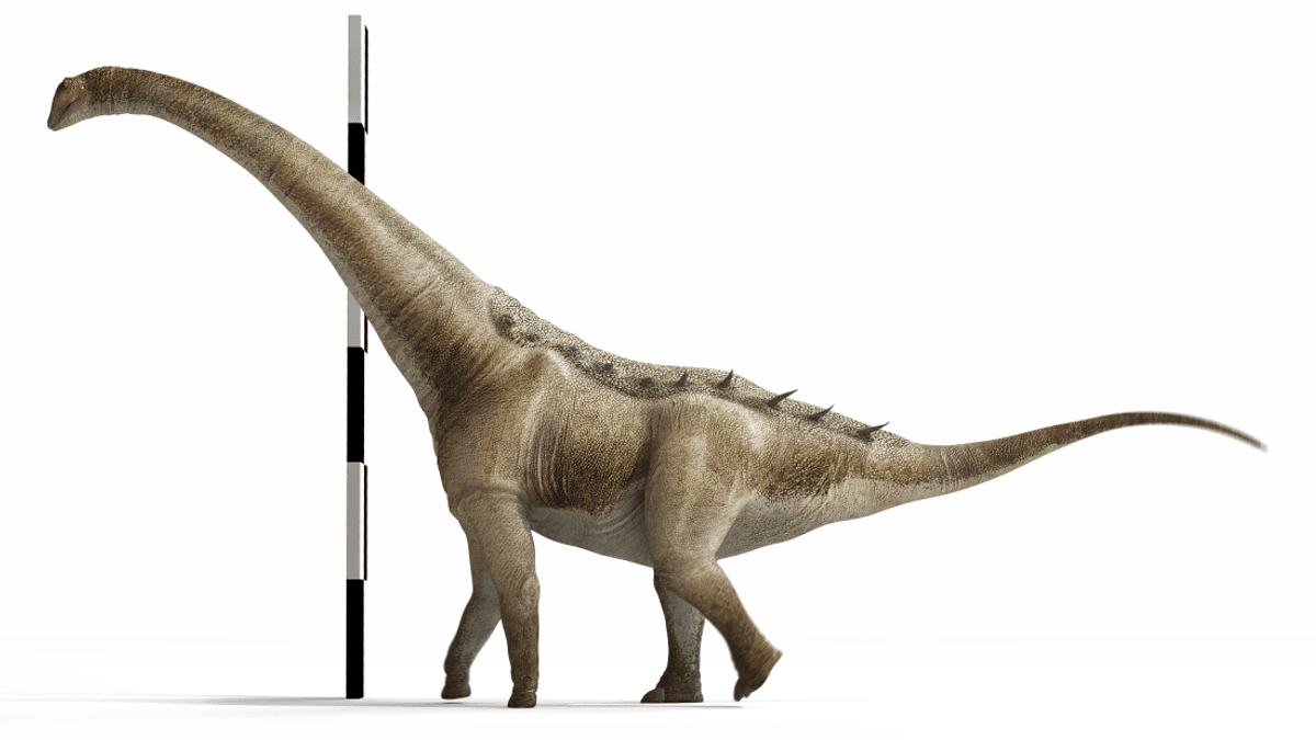 New Species Of Titanosaur Found In Spain Dates Back 72 Million Years