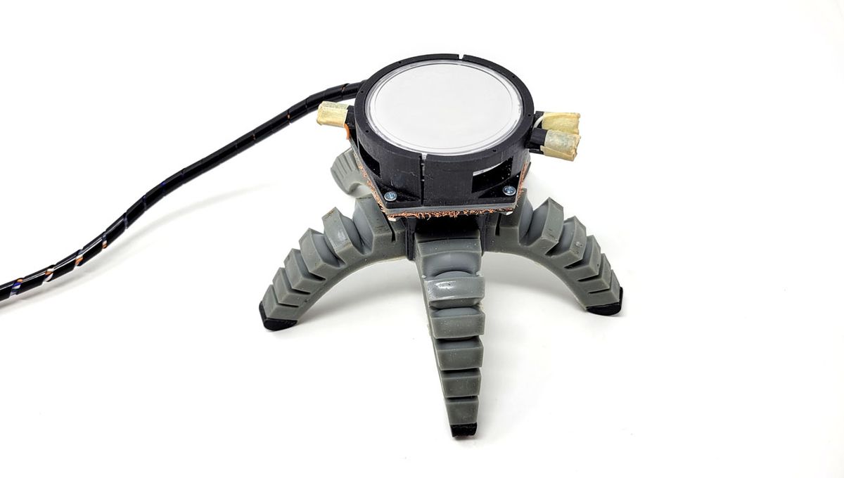 Slug Robot Watch As Mushroom Power Helps This Spider-Like Biohybrid Robot Bounce ...
