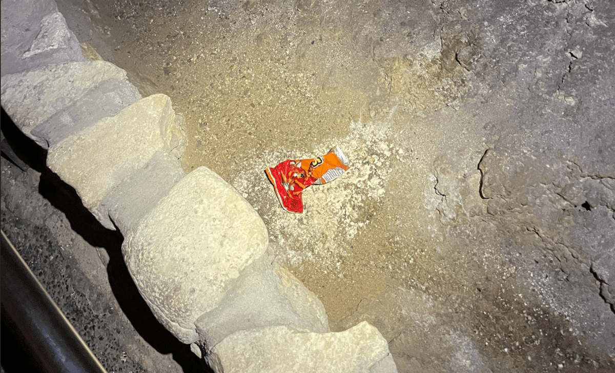 Dropped Cheetos Could Have Triggered Ecosystem Chaos In Largest US Cave Chamber