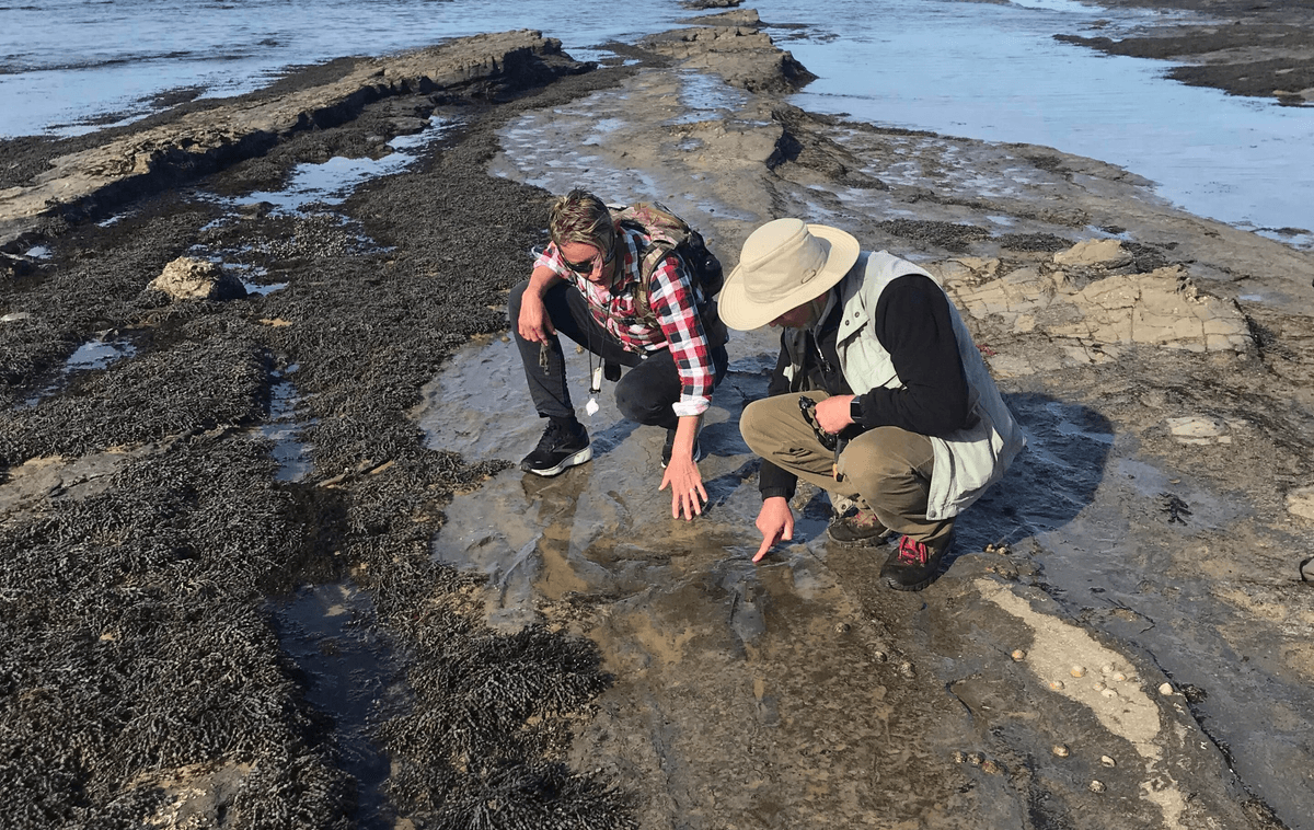 Footprints Reveal Big Theropod Dinosaurs Lived Close To The Antarctic Circle