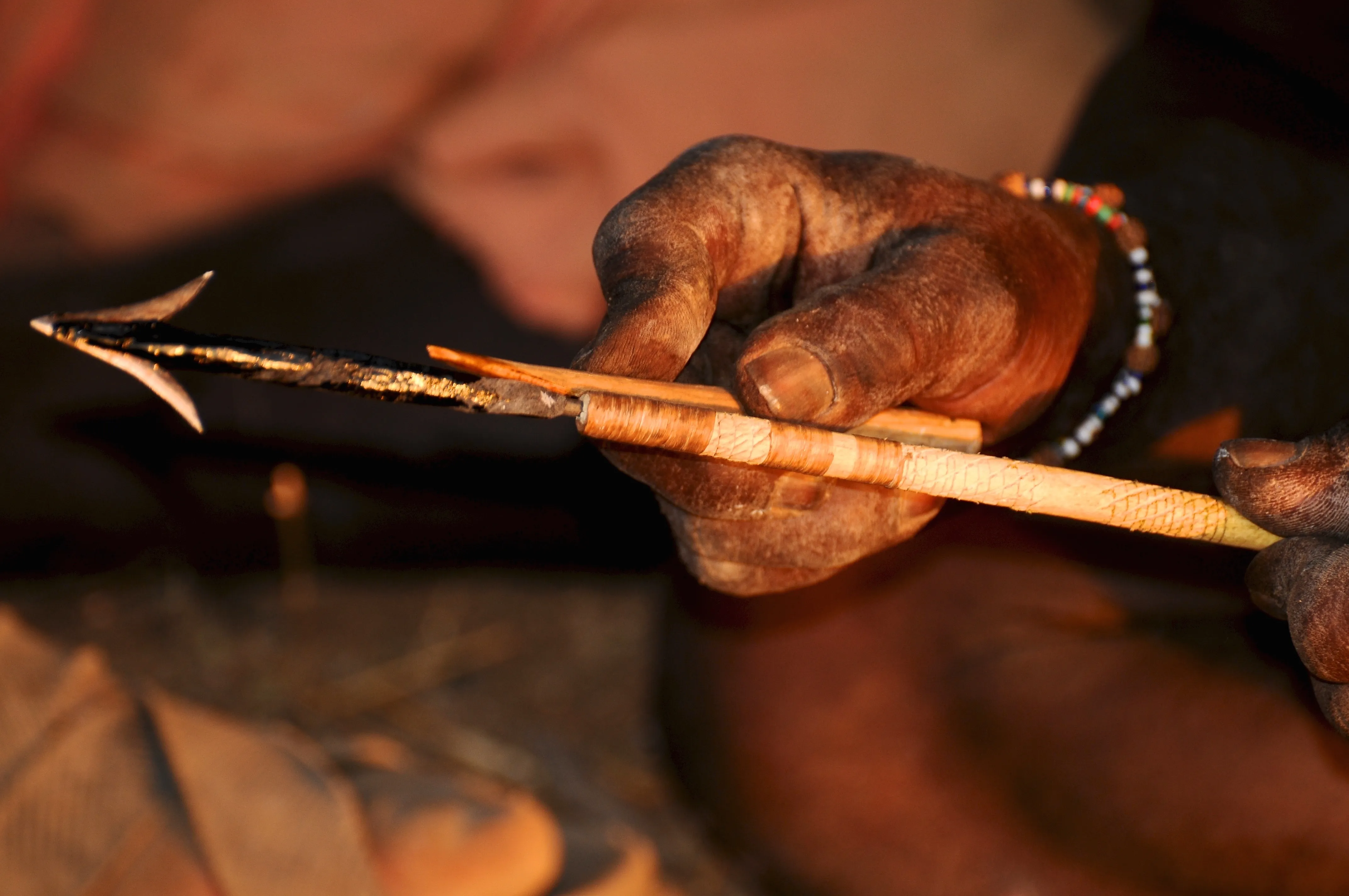 Palaeolithic Hunters May Have Used Poison Arrows 54,000